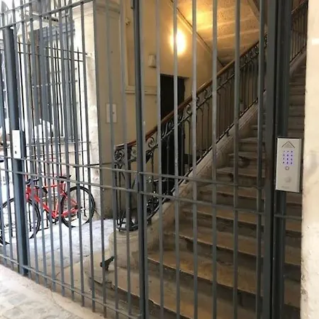 Daire Le Petit Opera Lyon